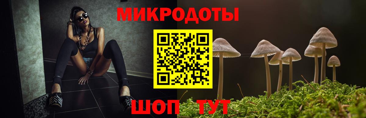 Волхов  купить наркотики сайты  Вход с VPN  Галлюциногенные грибы Psilocybe 